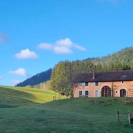 Les Vieux Champs A Moussey, Vosges - 4 Personnes, Vue Nature Et Confort Lägenhet