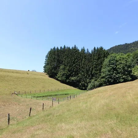 Les Vieux Champs A Moussey, Vosges - 4 Personnes, Vue Nature Et Confort Lägenhet