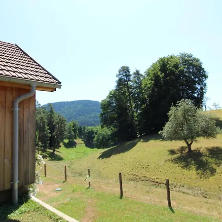 Les Vieux Champs 8 Pers, Vue Nature & Confort Moussey (Vosges)