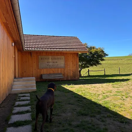 Les Vieux Champs 8 Pers, Vue Nature & Confort Moussey (Vosges)
