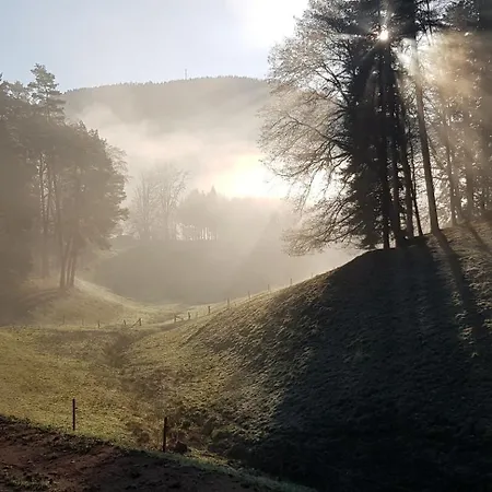 Les Vieux Champs 8 Pers, Vue Nature & Confort Appartement Moussey (Vosges)