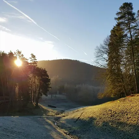 Les Vieux Champs 8 Pers, Vue Nature & Confort Moussey (Vosges)