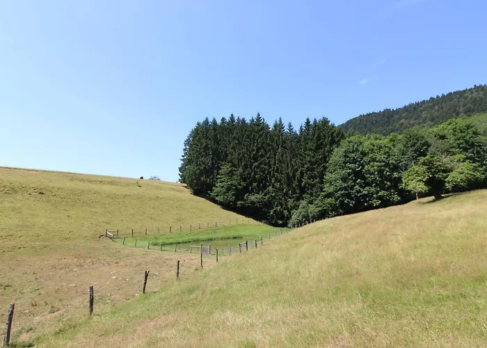 Les Vieux Champs A Moussey, Vosges - 4 Personnes, Vue Nature Et Confort Apartman